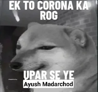 Sticker from Madarchod log