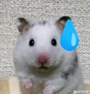 ✨ emoji Entic 静态贴纸包(0) Telegram sticker 21 of 111