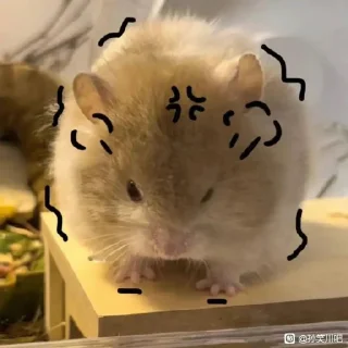 ✨ emoji Entic 静态贴纸包(0) Telegram sticker 15 of 111