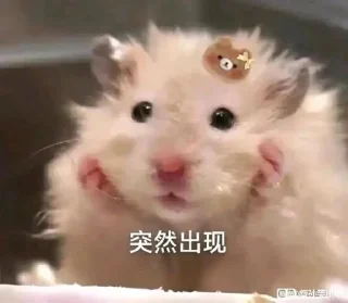 ✨ emoji Entic 静态贴纸包(0) Telegram sticker 24 of 111