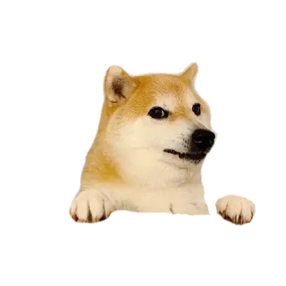🙄 emoji @proffsnape Telegram sticker 6 of 119