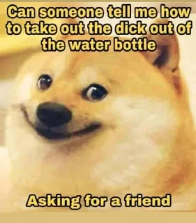 Sticker from Doge Memes - @Legend_Ns