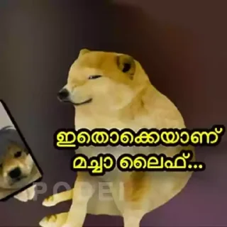 Sticker from Doge Memes Kerala