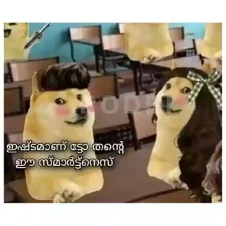 Sticker from Doge Memes Kerala
