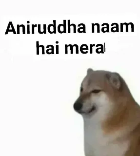 🎭 emoji @ProffSnape // Doge Memes Telegram sticker 8 of 85