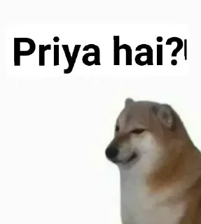 🎭 emoji @ProffSnape // Doge Memes Telegram sticker 11 of 85