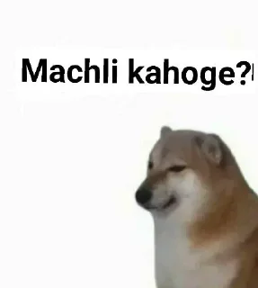 🎭 emoji @ProffSnape // Doge Memes Telegram sticker 6 of 85