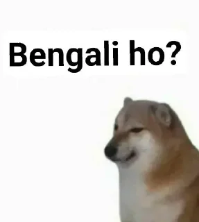 🎭 emoji @ProffSnape // Doge Memes Telegram sticker 5 of 85