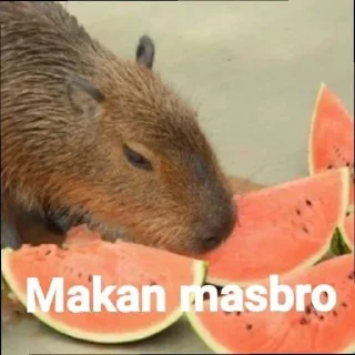 🤤 emoji waduh masbro 😅 @stiker_memee Telegram sticker 9 of 30