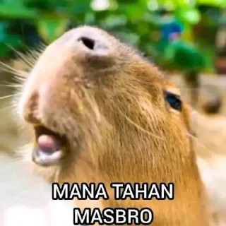🤤 emoji waduh masbro 😅 @stiker_memee Telegram sticker 13 of 30
