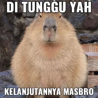 🤤 emoji waduh masbro 😅 @stiker_memee Telegram sticker 16 of 30
