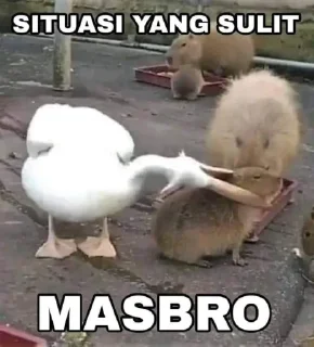 🤤 emoji waduh masbro 😅 @stiker_memee Telegram sticker 19 of 30