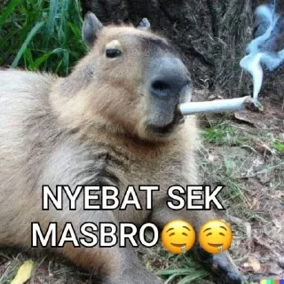 🤤 emoji waduh masbro 😅 @stiker_memee Telegram sticker 3 of 30