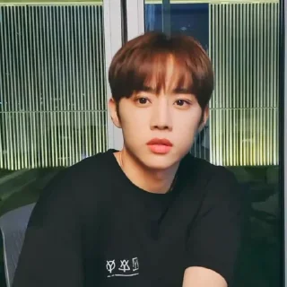 Sticker from 𝐊𝐈𝐌 𝐒𝐔𝐍𝐖𝐎𝐎 @SOHNIVERSERIC
