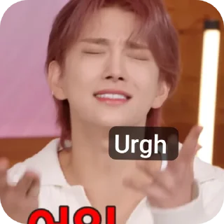 🤲 emoji SVT's relatable stickers Telegram sticker 11 of 110