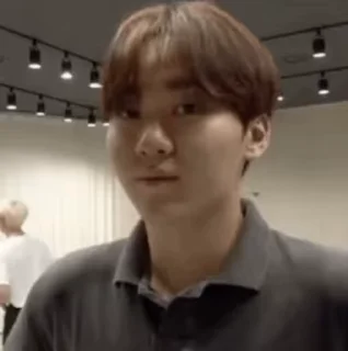 🤔 emoji SVT's relatable stickers Telegram sticker 13 of 110