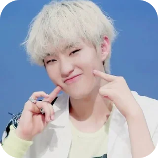 🤲 emoji SVT's relatable stickers Telegram sticker 17 of 110