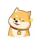 😉 emoji @Aiims_delhi's kang pack Vol.1 (Animated) Telegram sticker 8 of 42