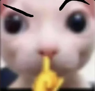 🤫 emoji YNTKTS Telegram sticker 20 of 37