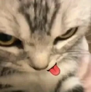 😜 emoji YNTKTS Telegram sticker 18 of 37