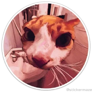 😺 emoji @stickermaze | Cats2 Telegram sticker 15 of 75