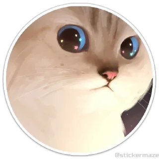 😺 emoji @stickermaze | Cats2 Telegram sticker 10 of 75