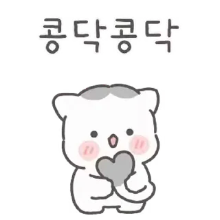 Sticker from ㅤㅤ         @stikie   및   @paaci