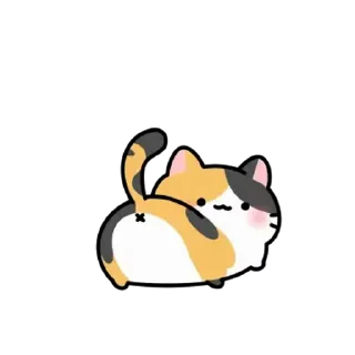 Sticker from ㅤㅤ         @stikie   및   @paaci