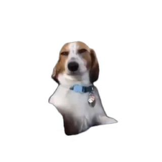 😏 emoji ᒪIᑫᑌIᗪᖇᗴᗪ᙭ • 影's Video Pack (@Zeroo_Twoo_Bot) Telegram sticker 21 of 31
