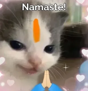 🙏 emoji Ladizz Log!💃 pack by @QuotLyBot Telegram sticker 6 of 14