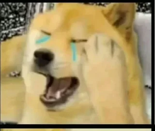😟 emoji Cheems 2 Telegram sticker 16 of 120