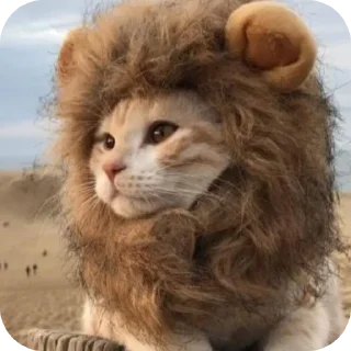 🧵 emoji उभरते युवा का संकलन🕉️ pack by @QuotLyBot Telegram sticker 18 of 105