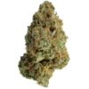 ⭐️ emoji PedoBearStaticEmoji Telegram sticker 9 of 47