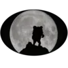 ⭐️ emoji PedoBearStaticEmoji Telegram sticker 22 of 47