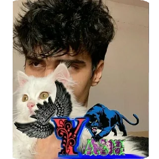 👍 emoji ⟁⃤✘ᴅ 𝐘ᴀsʜ [ 𝐑𝛂𝐣ᴘ𝛖𝜏 ] 𝐊ʜᥲ⃪፝֟‌᳟ᴜғ Telegram sticker 1 of 64