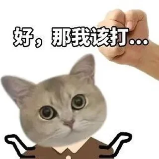 Sticker from 猫meme @likeNSFW @ziyuansousuo4