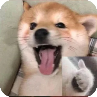 🐶 emoji 我自己的表情包 Telegram sticker 1 of 50