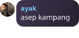 Sticker from ayAk 2022-25