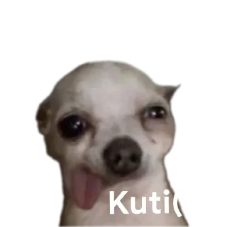 🤔 emoji 𝕃𝕠ℂ𝕠 ka maal Telegram sticker 7 of 12