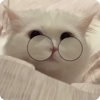 🤓 emoji Neha's video pack (@Marin_Roxbot) Telegram sticker 7 of 50