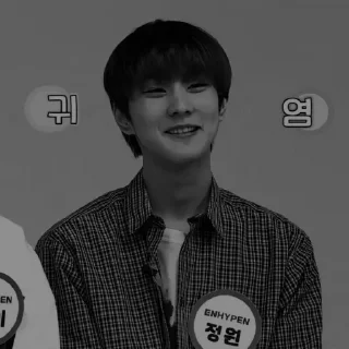 Sticker from ㅤㅤ𖤣˖ ࣪  JUNGWON ৎ୭ @roleplaysticker