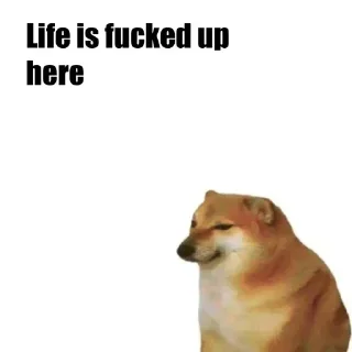 Sticker from Doge Pack!