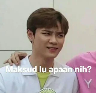 Sticker from Nct meme yalls