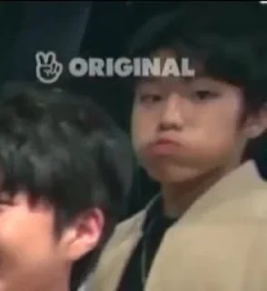 🤨 emoji jeongwoo - @wootopiang Telegram sticker 18 of 40