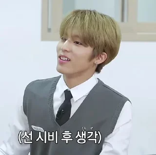 🐺 emoji jeongwoo mood’s Telegram sticker 17 of 27