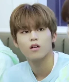 🐺 emoji jeongwoo mood’s Telegram sticker 6 of 27
