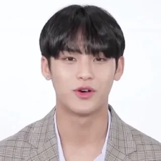 🏴‍☠️ emoji razzan as mingyu, @THE666s Telegram sticker 12 of 60