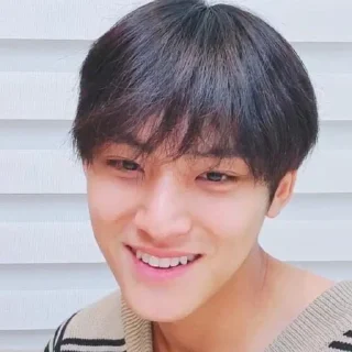 🏴‍☠️ emoji razzan as mingyu, @THE666s Telegram sticker 21 of 60