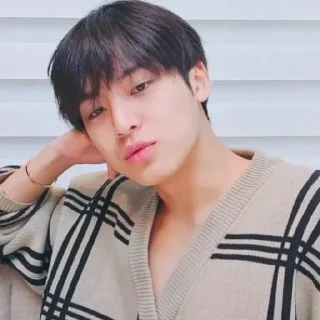 🏴‍☠️ emoji razzan as mingyu, @THE666s Telegram sticker 19 of 60