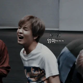 📿 emoji ʚ @stuffiespie as haechan. ✰ Telegram sticker 24 of 47